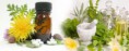 /album/fitoterapia/medicina-natural-600x241-jpg/